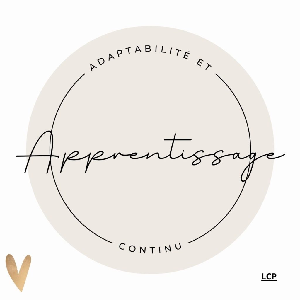 Adaptabilité et Apprentissage Continu