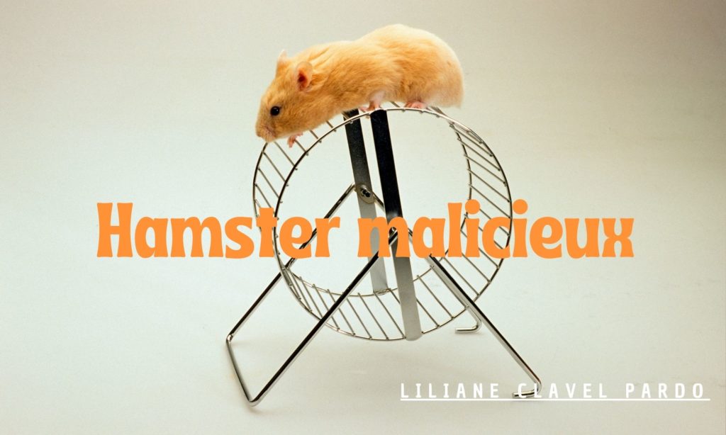 hamster-malicieux