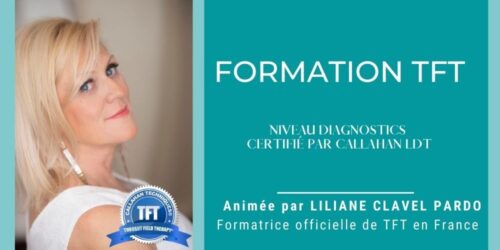 Formation professionnelle en TFT